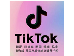 tiktok粉丝购买，tiktok刷粉平台，tiktok涨粉软件